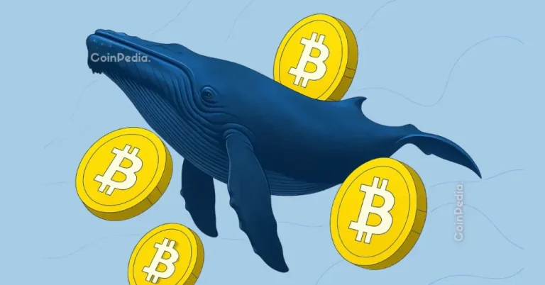 Whale Buying Is No Longer a Bullish Signal—BTC Drops Below $90K Despite Heavy Accumulation